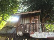 Top Lamphun