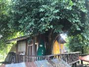 Top Lamphun
