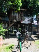 Top Lamphun
