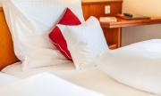 Hotel Friese