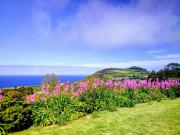 Casa-Azores Por do Sol