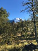 Top Malalcahuello Top Malalcahuello