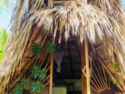 Top El Paredón Buena Vista