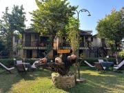 Top Sauraha Top Sauraha