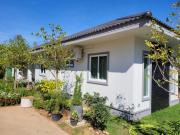 Top Ban Phe Top Ban Phe