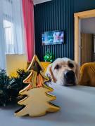 Top Szczawno-Zdrój Top Szczawno-Zdrój