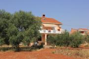 Apartments by the sea Sutomiscica, Ugljan - 912