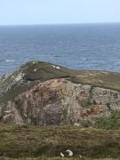 Cherry blossom Erris