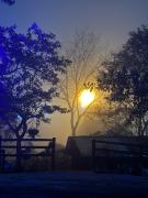 Top Salento Top Salento