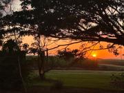 Top Proserpine