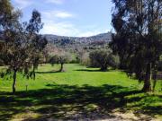 Top Ogliastro Cilento