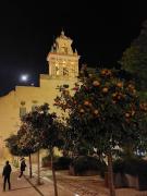 Top Córdoba