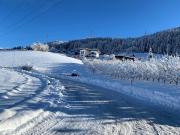 Apart Bergliebe Pitztal