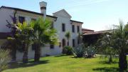 Top Legnago