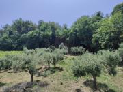 Top Marina di San Vito