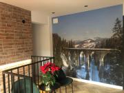 Top Wisła Top Wisła