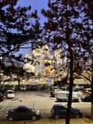 Top Podgorica