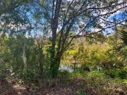 Top Lake Alfred