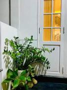 Top Thôn Kim Long (1)