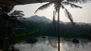 Top Wayanad