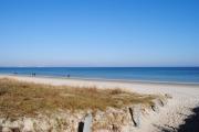 Top Binz