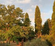 Top Calvi dellʼ Umbria