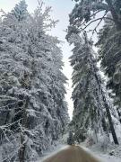 Top Borovets