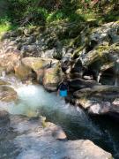 Top Poultney