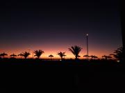 Top La Serena Top La Serena