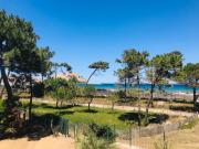 Top Calvi