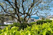 Top Port Isaac