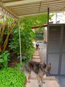 33 on Smuts Selborne