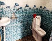 Top Bijanbāri Bāzār