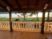 Top Punta Prosciutto