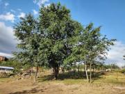 Top Villa Yacanto