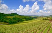Top San Cristoforo