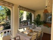 Top Torrox Top Torrox