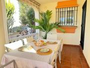 Top Torrox Top Torrox