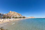 Top Alicante