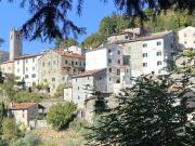 Top Casoli