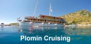 Traditional gulet, cruises & events