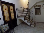 Top Cammarata Top Cammarata