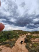 Top Oudtshoorn