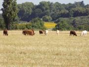 Top Bourg-lès-Valence