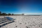 Top Siesta Key