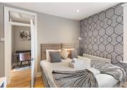 Chic & Radiant Retreat in Harringay Ladder