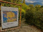 Top San Antonio del Tequendama Top San Antonio del Tequendama