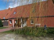 Top Dahmen