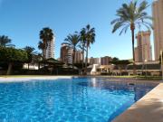 Top Benidorm