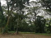 Top Jacó